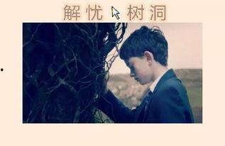 倾听你的秘密,揭秘你的秘密世界